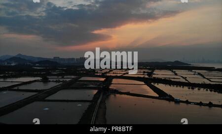 Yuen Long campo nel tramonto, hong kong campagna Foto Stock