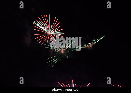 Fuochi d'artificio appare come uccelli esotici, multicolore festosi fuochi d'artificio nel cielo notturno Foto Stock