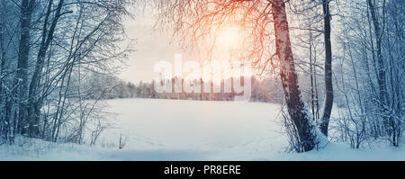 Alberi coperti di neve vicino al lago Foto Stock