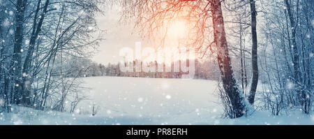 Alberi coperti di neve vicino al lago Foto Stock