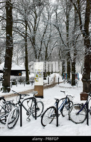 Inverno in scena a Cambridge - Cristo pezzi unici. Sentiero fiancheggiato da avenue di coperta di neve alberata. Mappa dei visitatori del centro citta'. Foto Stock