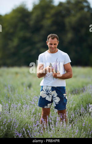 Coppia agricoltore con forbici e la raccolta di lavanda in un campo Foto Stock