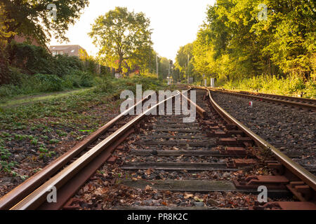 Interruttore ferroviaria nella luce del mattino Posizione: in Germania, in Renania settentrionale-Vestfalia Foto Stock