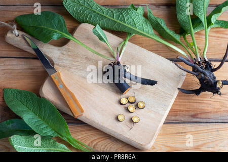 Cut-up comfrey root con foglie su un tavolo Foto Stock