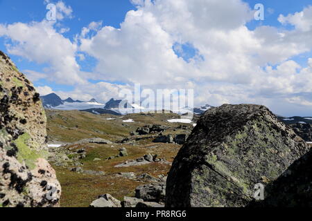 Bellissima la Norvegia al percorso 55 il Sognefjellsvegen Foto Stock