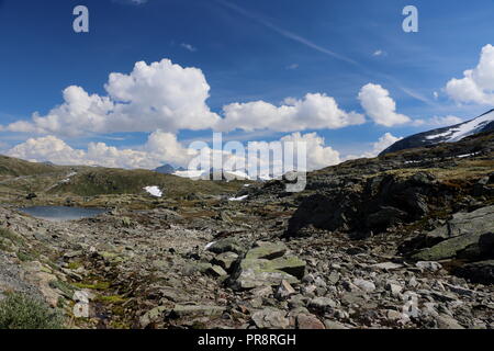 Bellissima la Norvegia al percorso 55 il Sognefjellsvegen Foto Stock