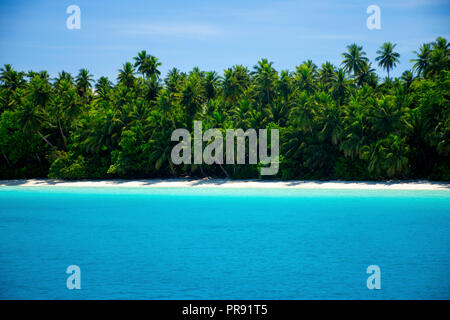 Tropical spiaggia di sabbia bianca in Ant Atoll, Pohnpei, Stati Federati di Micronesia Foto Stock