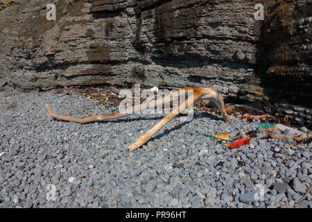 Driftwood e detriti accumulata sotto l immensa scogliera sulla spiaggia in ciottoli che mostra l'inquinamento da plastica e reti da pesca Barche. Foto Stock