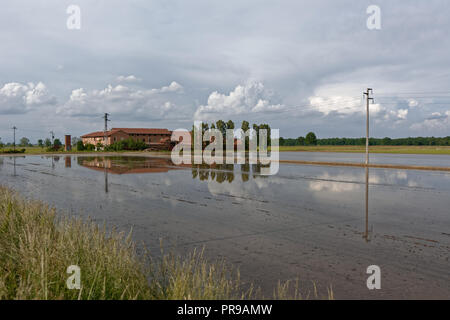 Agriturismo, campi di riso e riflessioni cloud Foto Stock