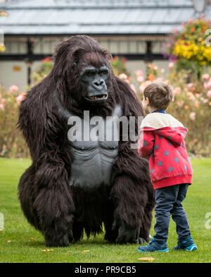 Teodoro Kiaie interagisce con un turismo Uganda life-size animatronic gorilla di montagna durante la fauna selvatica &AMP; Safari Travel Show a Harrogate Convenzione in Harrogate, Yorkshire. Foto Stock