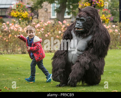 Theodore Kiaie interagisce con un gorilla di montagna animatronica a grandezza naturale del Turismo Uganda durante lo spettacolo di viaggio Wildlife & Safari al Convegno Harrogate di Harrogate, nello Yorkshire. Foto Stock