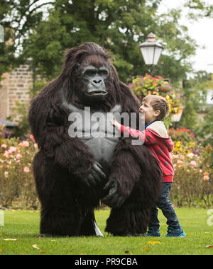 Teodoro Kiaie interagisce con un turismo Uganda life-size animatronic gorilla di montagna durante la fauna selvatica &AMP; Safari Travel Show a Harrogate Convenzione in Harrogate, Yorkshire. Foto Stock