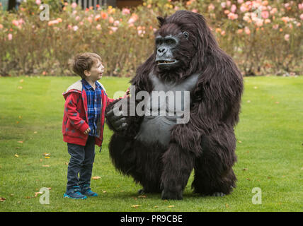 Theodore Kiaie interagisce con un gorilla di montagna animatronica a grandezza naturale del Turismo Uganda durante lo spettacolo di viaggio Wildlife & Safari al Convegno Harrogate di Harrogate, nello Yorkshire. Foto Stock