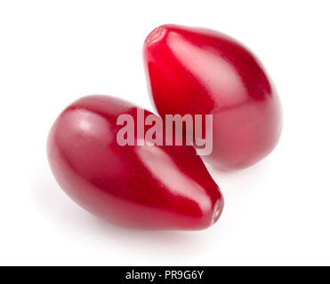 Bacche rosse di corniolo sanguinello o isolati su sfondo bianco Foto Stock