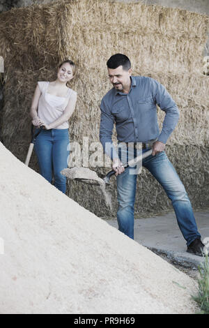 Due allegro i lavoratori agricoli azienda big badili su accanto al mucchio di sabbia in agriturismo in ambienti interni Foto Stock