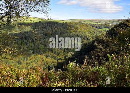 Hardcastle Crags Boschi Foto Stock