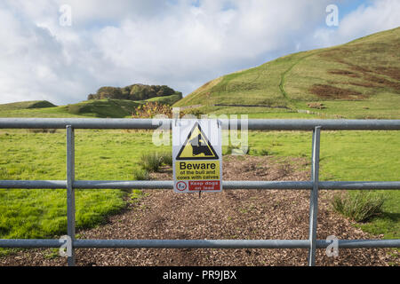 Informazioni sulla sicurezza su un cancello di allevamento a Dumfries e Galloway vicino a Durisdeer, che forniscono al pubblico informazioni sui comportamenti sicuri nei pressi di animali da allevamento. Foto Stock