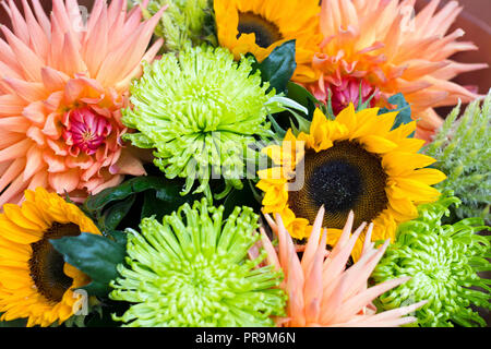 Mazzi di fiori di colore verde crisantemi, girasoli giallo e rosa aestri come complemento dell'entrata al negozio Foto Stock