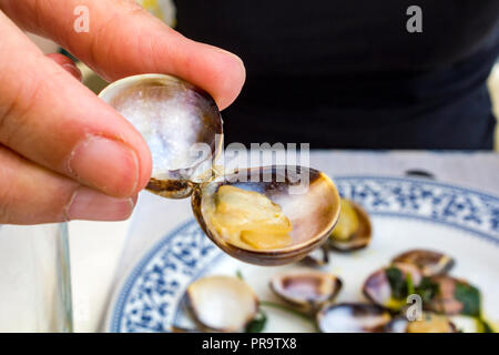 Mano della donna Foto Stock