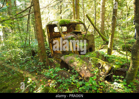 Camion di tronchi scartato a Stave Lake, Mission, British Columbia, Canada Foto Stock