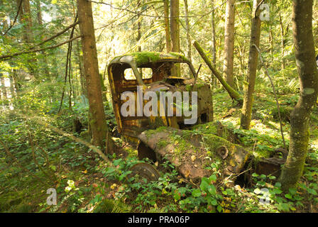 Camion di tronchi scartato a Stave Lake, Mission, British Columbia, Canada Foto Stock