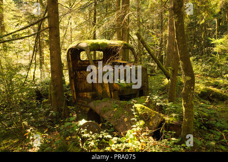 Camion di tronchi scartato a Stave Lake, Mission, British Columbia, Canada Foto Stock