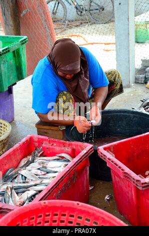 Thai donna musulmana in sarong e velo budella e pulisce il pesce Pattani Thailandia Foto Stock