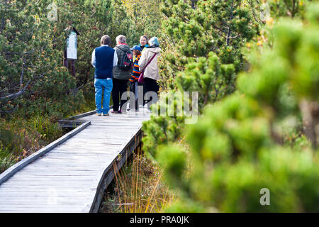 Naucna stezka Bozidarske raseliniste (prirodni reservace) Bozi Dar, Krusne hory, Ceska republika / percorso istruttivo Bozi Dar torbiere (riserva naturale Foto Stock