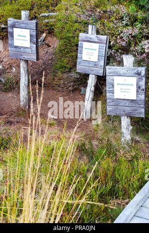 Naucna stezka Bozidarske raseliniste (prirodni reservace) Bozi Dar, Krusne hory, Ceska republika / percorso istruttivo Bozi Dar torbiere (riserva naturale Foto Stock