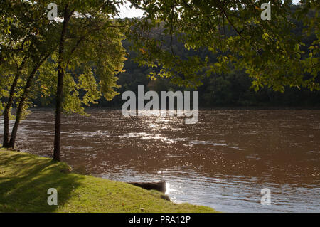 Il fiume Allegheny nella Contea di Warren in esecuzione alta e fangoso dalle piogge nel nord-ovest della Pennsylvania, STATI UNITI D'AMERICA Foto Stock