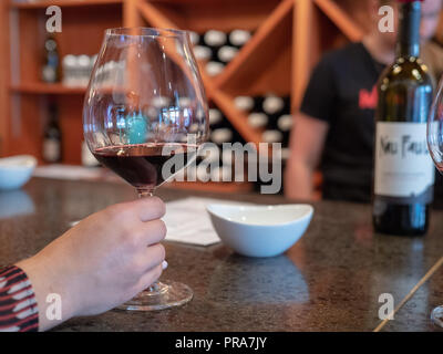 Womans mano che tiene un bicchiere da degustazione di vino rosso presso la sala di degustazione Foto Stock