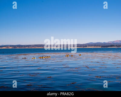 Kayak e barche galleggiare su un oceano tropicale beach in orizzonte Foto Stock