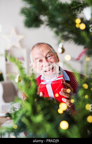 Un uomo anziano con un presente in una scatola avvolto in piedi da albero di Natale. Foto Stock