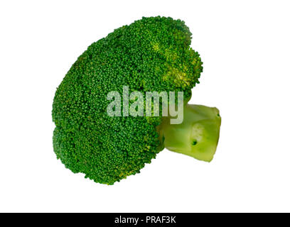 Il cavolo broccoli isolati su sfondo bianco Foto Stock