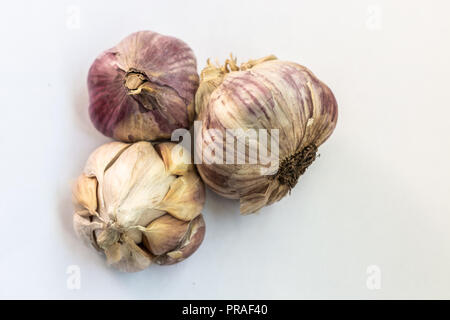 Tre aglio secco capi su sfondo bianco Foto Stock