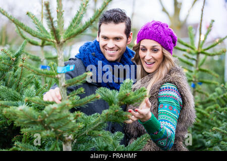 Donna e uomo acquisto di albero di Natale sul mercato Foto Stock