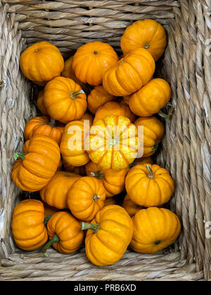 Fresche e mature materie piccole zucche in un cesto decorativo in stallo del mercato. Vista dall'alto. Può essere utilizzata come sfondo. Foto Stock