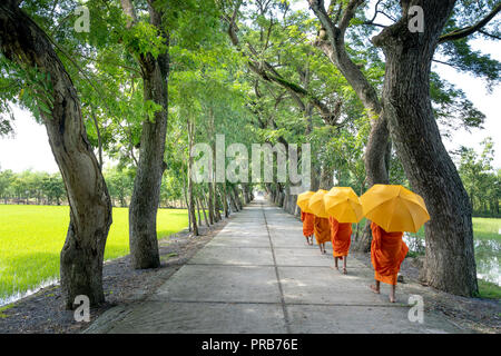 I monaci con elemosinare bocce sotto abiti dello zafferano uscire la mattina a ovest del Vietnam Foto Stock