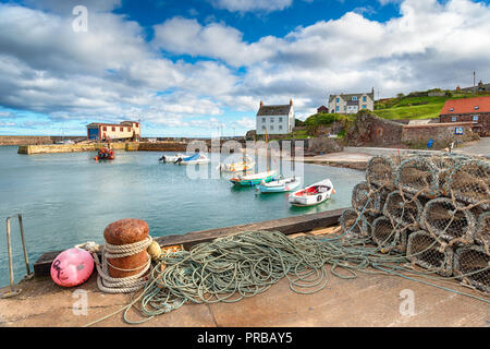 Il porto di St Abbs, un grazioso villaggio di pescatori vicino a Eyemouth sulla costa est della Scozia Foto Stock