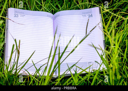 Libro aperto sulla giacente su erba verde sotto il sole. Primavera Estate istruzione con sfondo bianco aperto pagine di un caseificio. Si torna a scuola concetto. Copia Spa Foto Stock