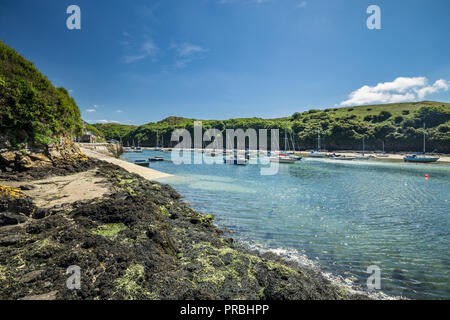 Le scogliere di muschio di Solva porto con barche e yacht a bassa marea in Pembrokeshire, Wales, Regno Unito Foto Stock