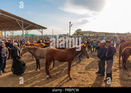 In Asia centrale, Kirghizistan, Karakol, domenica mercato degli animali Foto Stock