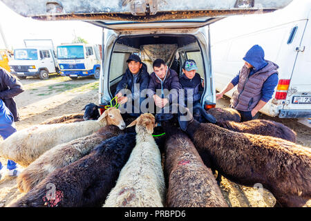 In Asia centrale, Kirghizistan, Karakol, domenica mercato degli animali Foto Stock