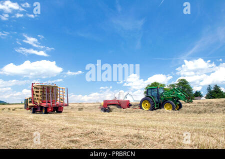 2008 - la pressatura e la raccolta di balle di fieno in una fattoria a gestione familiare con una John Deere trattore 6400, un caso SBX 240 imballatrice e New Holland 1069 carro della balla Foto Stock