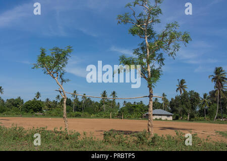 Alberi cresciuti come obiettivo posti su un campo di calcio a Zanzibar. Foto Stock
