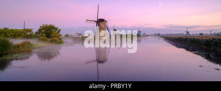 La mattina presto la nebbia in una mattina di autunno in Kinderdijk Patrimonio UNESCO centro di mulini a vento vicino a Rottterdam, Paesi Bassi Foto Stock