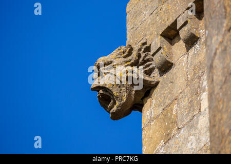 Un Gargoyle di pietra scolpito sulla Broadway Tower, Cotswolds, Inghilterra Foto Stock