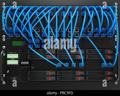 Server di rete pannello, Interruttore e cavo patch nel centro dati, rendering 3D Foto Stock