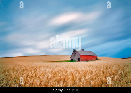 Fienile nel campo di grano con avvicinamento nuvole temporalesche. Il Palouse, Washington Foto Stock