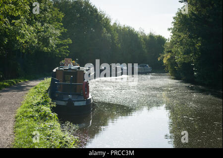 Il Grand Union Canal in Greenford con battelli Foto Stock